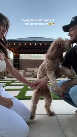 I love her so much 😭🥹  #handsintrend #dogtok #puppylove #dogparents #cockapoosoftiktok #cockapoo #furbaby #mydogismybestfriend #fyp #foryou #trending #viral #dogsoftiktok #iloveher 