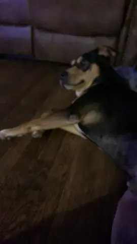 Choppy boy has the tism@🌅 @Austin🍃 @•🛢️A N N A🛢️• @Audrie ( Taylor’s version) #cowboy #fyp #cewboi #doggo #theovon 