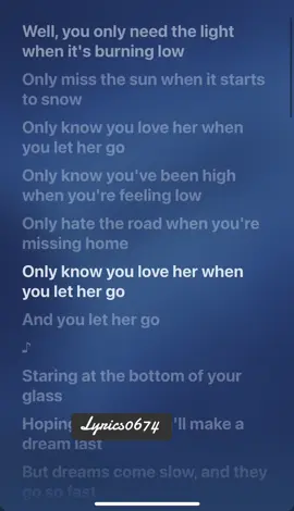 (Let Her Go) lost., Honeyfox & Pop Mage #lyrics0674 #fypシ゚viral #lyrics #music #dubailife 