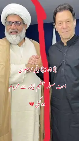 Two legends in one frame✨🥲#foryoupage #foryou #شیر_دلیر_عمران_نیازی #alichaudhary44 
