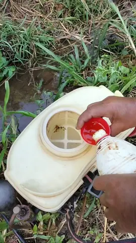 dosis pengunaan herbisida roundup #herbisida #pembasmigulma #obatrumput 