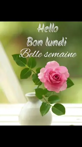 #bonjour #🤝🤝🤝🤝😍🌹🌹🤝🤝🤝 #Excellent début de semaine.#abonnetoi❤️❤️🙏 #protoi #visbilite #tikitokmali🇲🇱tiktokeur #tiktoktogo228🇹🇬🇹🇬🇹🇬ktogo228 
