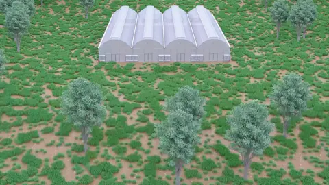 automatic  #ventilation roof #greenhouse