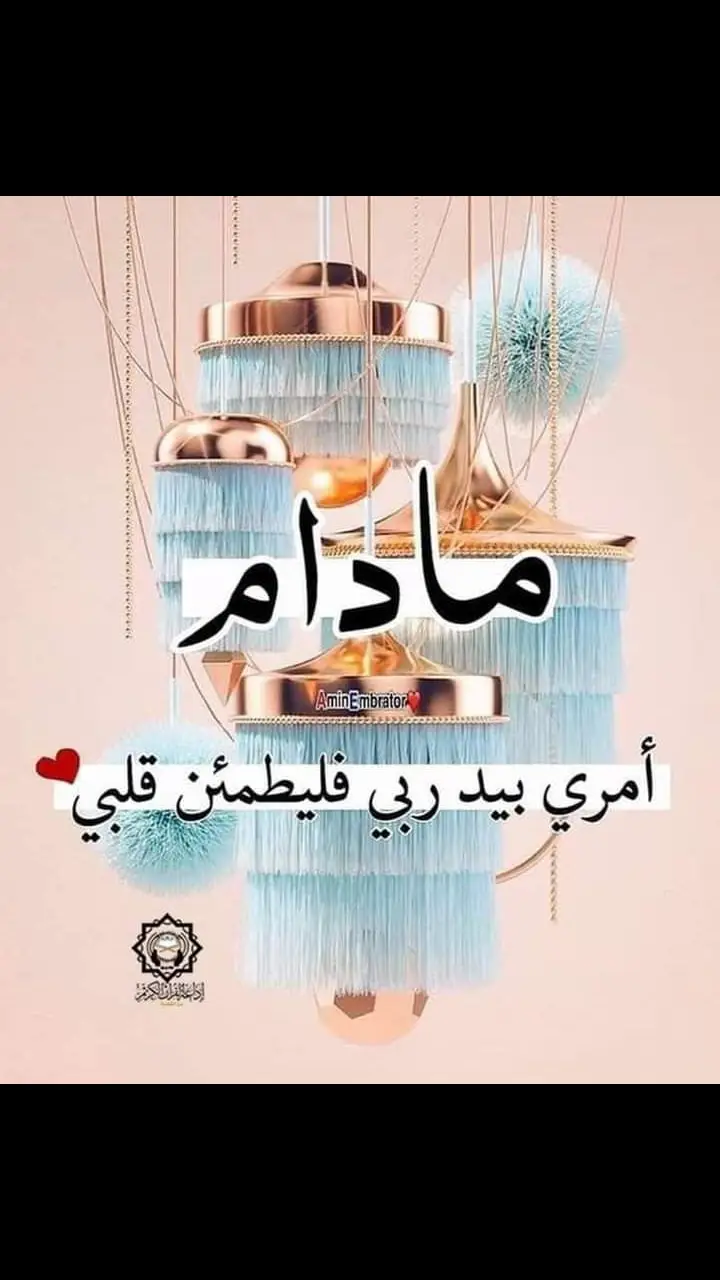 #ايات_قرانيه_تريح_القلب #محتوى_ديني📿 #اسلام_صبحي_قران_طمانينة_القلب #القران_الكريم_راحه_نفسية😍🕋 