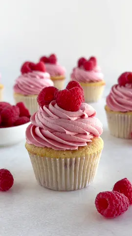 Piping raspberry cupcakes with an Ateco 857 piping tip! This is quickly becoming one of my favorite tips for cupcakes! #cupcakes #cupcake #cupcakepiping #cupcakedecorating #pipingvideos 
