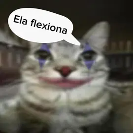 ela flexiona 😼#funk #gato #lyrics 