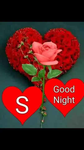 goodnight to all#monday night#5 ,20,2024