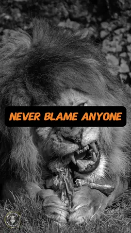 Never blame anyone in your life, there’s a lesson in every person. #motivational_quotes #motivational_video #inspirationalmessages #inspirational_video #motivational_speaker #motivationalwarriormindsets #warriormindsets #lion_mindsets #neverblameanyone #neverblameanyoneinyourlife 