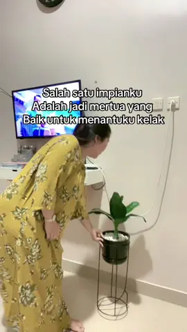 #quotes 