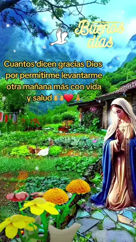 #mensajedeDios de Dios #📖  #🕊 #❤️  #parati el #Señor #nunca te dejará #🙌❤️🙏  #jesúsesmipastor el #señor #escucha tu #oración #fee #laoraciontienepoder #confia -en-Dios-ten-fe #greenscreen #oraciones a #Dios y #María  santísima y #Arcángeles #🙌❤️  #CapCut 