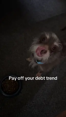 Hope im not too late #payoffdebt #trend #debtfreejourney #payoffdeptwithme #community #voiceactor 
