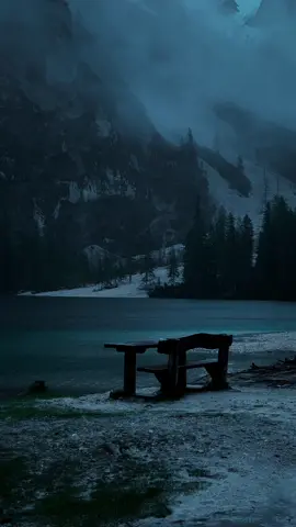 🖤#calm #nature #relax #aesthetic #darkaesthetic #naturephotography #foryou 