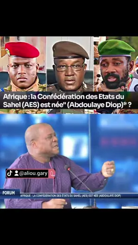 Afrique : la Confédération des Etats du Sahel (AES) est née (Abdoulaye Diop)  #EMISSION #DEBAT 