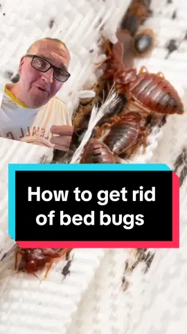 You only need three things to get rid of bed bugs.  1.) Heat. Steam specifically. This will be used to treat all of your soft line surfaces (pillows, clothes, mattresses etc 2.) Diatomaceous earth. This natural powder etches the insects exoskeleton and casues death via dehydration.  3.) Time. This is a battle that can be won, but it may take a month ir more to completely eliminate an infestation.  ##bedbugs##parasitecleanse##DIY