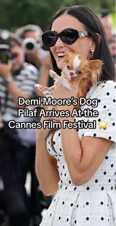 If Pilaf can make it to Cannes, you can make it through Monday. 🫶 #demimoore #cannes2024 #cannesfilmfestival