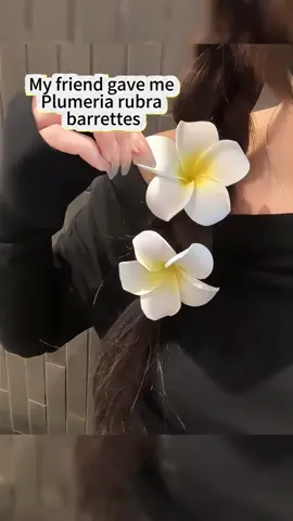 #hawaiian #hawaiianflower #flowerclip #flower #summerhairstyles#fyp #tiktok #shopping #fypシ