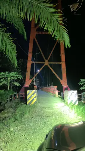 Viajando de noche por la selva ✌️🇵🇪#viaje#fyp#selva#uchiza#sanmartim#paraiso#peru#jhosseph 