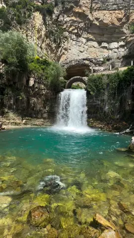 شلال أفقا Afqa waterfall 📽️ : @abed_ghemrawi @mustseelebanon 🇱🇧 #mustseelebanon #lebanon #lebanese #beirut #travel #explore #instagram #reels #nature #byblos #jbeil #waterfall