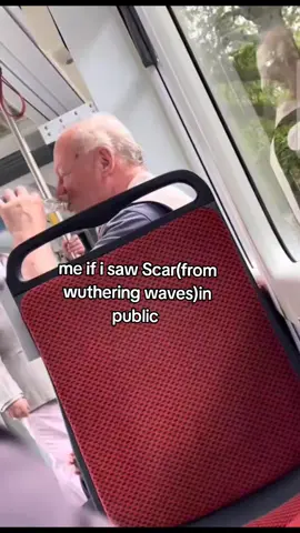 IM CRYINGGG THE VIDEO IS SO WILDD #scar #Wutheringwaves #SCAR #scarwutheringwaves #relatable #thisissome 