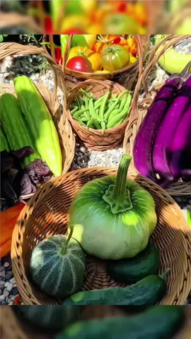VEGETABLE SEEDS HIGH QUALITY SEEDS! (Pechay, Sitao, Ampalaya, Onion, Talong, Okra,Upo, Carrots, Kang Kong, Cabbage, Sili, Squash)