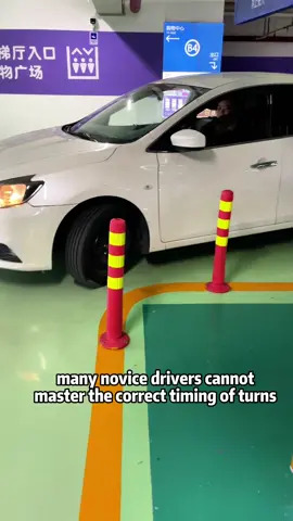 Follow me and become a real veteran driver! #funny #drivinglesson #cardriving