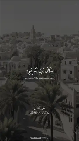 الشيخ كامل يوسف البهتيمي • • • #قران #قرآن #quran 