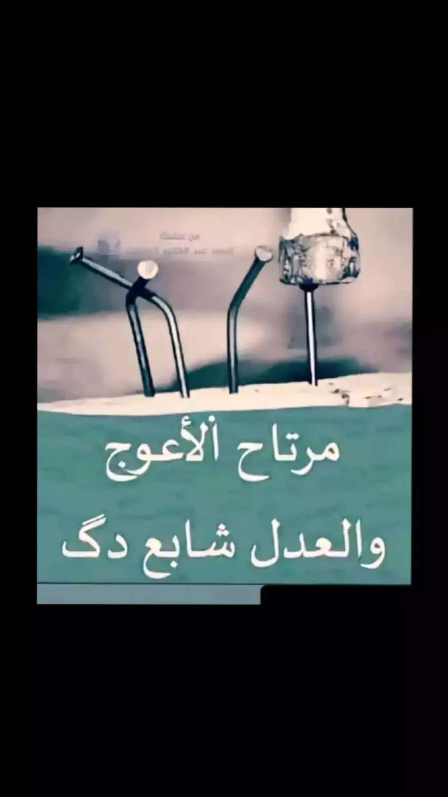 #T  #اكسبلورexplore  #fy 