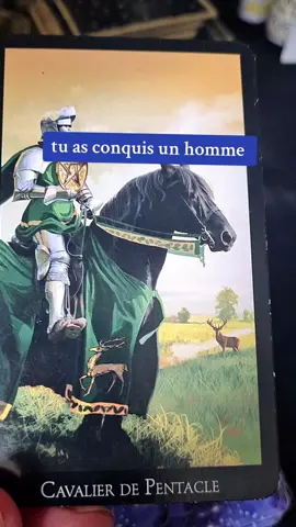 tu as conquis un homme, il est beau grand et fin #lectures #voyancegratuite #tarot #voyancegratuitepourtoi #tirages #tiragedecarte #voyancetiktok 