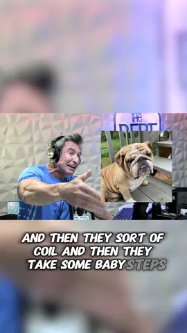 How did your first month with your adopted dog go? 🐶  #rescue #rescuedog #dogsofinstagram #dog #doglover #bulldogsofinstagram #bulldog #bulldoglove #bulldoglife #podcast #podcastclips  