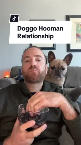 Accurate description of our hooman doggo relationship #dogs #dogparents #interview #frenchbulldog #chemistry 
