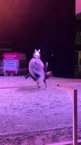 Un week-end exceptionnel à Equi’Axone avec la famille Hasta Luego accompagné de mon cheval Volteo 🤩 #horsevideo #horse #equestrian #horsesontiktok #viral #voltige 