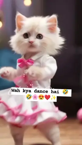 🤣🤣😺cute dance 😍🌸. #fyp #❤️❤️❤️ #viralvideo #fyppppppppppppppppppppppp #trending #cutebaby ##dance #cat @TiktokPakistanOfficial 