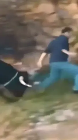 Best transition video I’ve ever seen