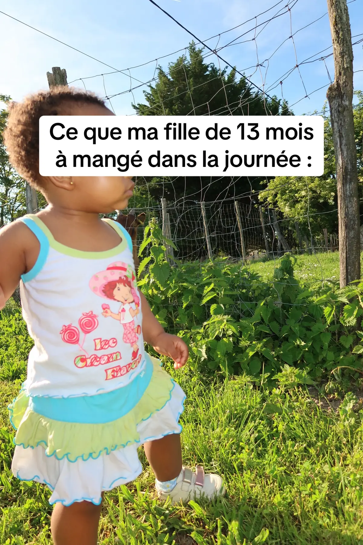 #FoodTok #toddlersoftiktok #repasbébé #ideerecette #dme #diversificationalimentaire #blw #bébé #idéerepas 