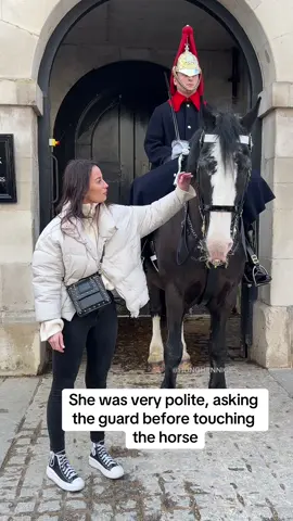 She was very polite, asking the guard before touching the horse #thekingsguard #polite #horses #horseguards 