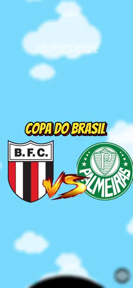 Botafogo SP x Palmeiras - Copa do Brasil #copadobrasil #botafogosp #palmeiras 
