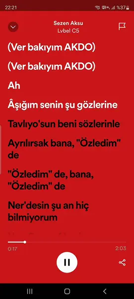#lyrics #spotify #şarkı #turkishsong #speedup #foryoupage #keşfet #fyp 
