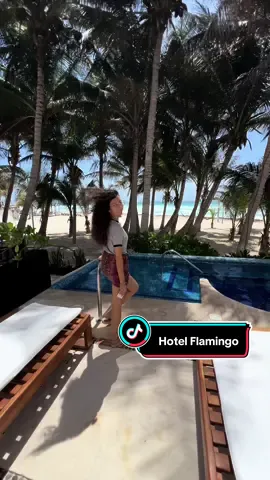 Vive la magia de Cancún desde el acogedor Hotel Flamingo 🏝️ Descubre un oasis de tranquilidad en el corazón de la zona hotelera. Con vistas impresionantes y un servicio todo incluido. Tu escape perfecto te espera aquí. #hotelflamingocancun #VistasIncreíbles #todoincluido #cancunmexico 