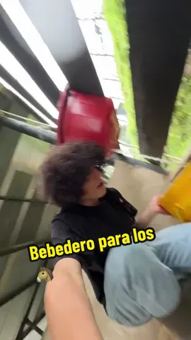 Como que mañana?😭😂@CEBA Veterinaria #longervideos 