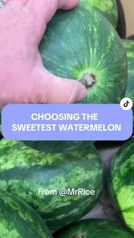This is a great way to tell if a watermelon will be sweet! This tip is from my friend @Mrrice🌾 Follow him for more great tips! #Tips #Tricks #TipsAndTricks #Hacks #Watermelon #Melon #Fruit #groceries #mrrice #theorganizerman 