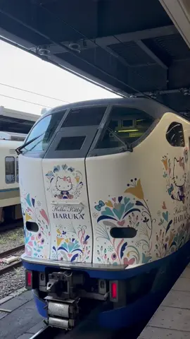 Hello Kitty Haruka train in Japan 
