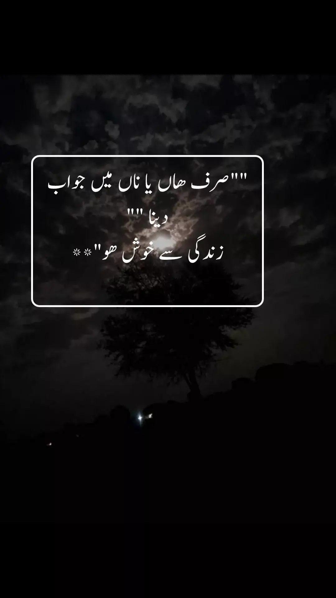 #آنستاسیہ🥀hassno #hyylines⚡💓🥀🌚 #uff_lines💔👌🥺 #heart💔💔💔💯👈👈🙏🙏 