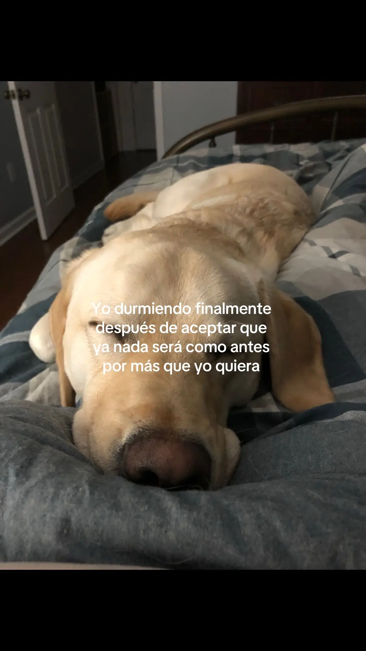 el ya no me necesita en su vida #parati #viral #xzyabc #ponmeenparati #foryoupage 