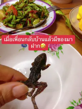 เมื่อเพื่อนมีของมาฝาก ถามว่ากินเป็นไหม ตอบได้คำเดียวแซ่บ รวดเดียวหมดตัว🤣