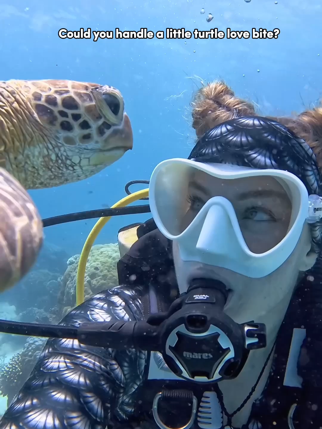 What dat mouf do? 🐢: Love on hoomans 📸 @dive_down_under (IG) & @underwater_images with #Insta360 Ace Pro #turtle #seaturtle #worldturtleday #diving #scubadiving #fypシ゚viral