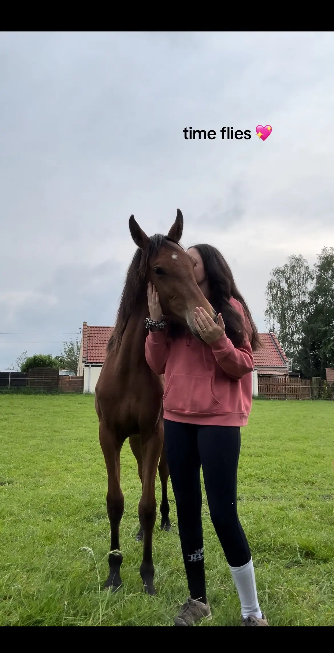 ma princesse a fêté son premier anniversaire hier 🫶🏼🥳     #pourtoi #equestrian #fyp #nevadadeberbicourt #1 #fypシ゚viral #poulain #babylove 