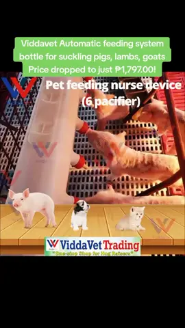 Viddavet Automatic feeding system  bottle for suckling pigs, lambs, goats Price dropped to just ₱1,797.00!