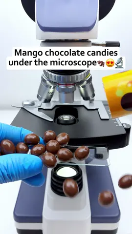 Would you still eat mango chocolate candy after seeing it magnified 400 times under a microscope?🔬😍#microscope #undermicroscope #fyp #tiktok 
