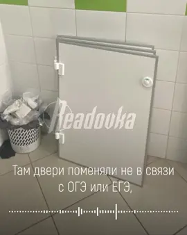 Минобразования Республики Татарстан заявили, что двери в кабинки школьного туалета чуть выше пояса соответствуют СанПиН #татарстан #школа #егэ #туалет 