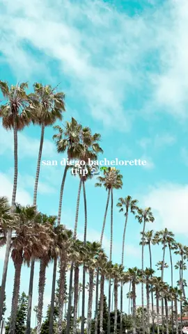 Kaley’s last toast on the (west) coast!! 💍🌴🌊🥂 #bachelorette #bacheloretteparty #sandiegolife #sandiegotrip #bachelorettepartyideas #bachelorettetrip #bachelorettetripideas 
